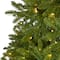 9ft. Pre-Lit Sierra Spruce Artificial Christmas Tree, Clear LED Lights